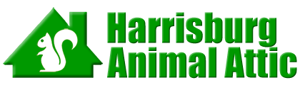 Harrisburg Animal Attic